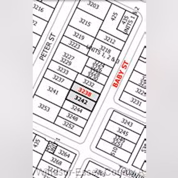 3238 Baby Street Area