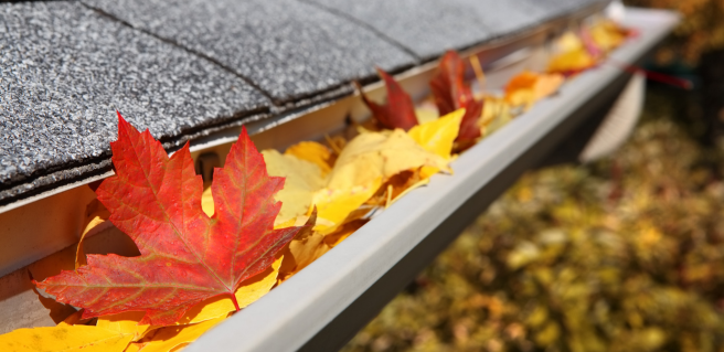 Home Maintenance Tips
